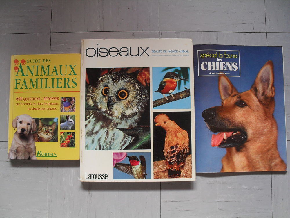 Gros lot 70 livres tous genres sport culture jeunesse g&eacute;o Livres et BD