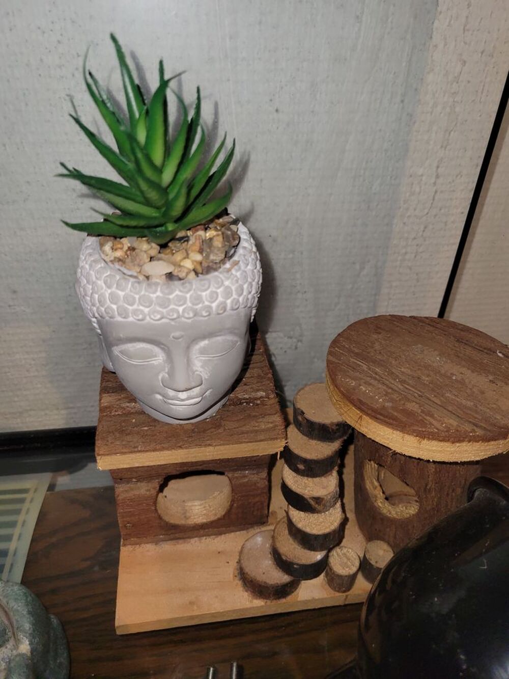 Grand terrarium Tr&egrave;s bonne &eacute;tat Décoration