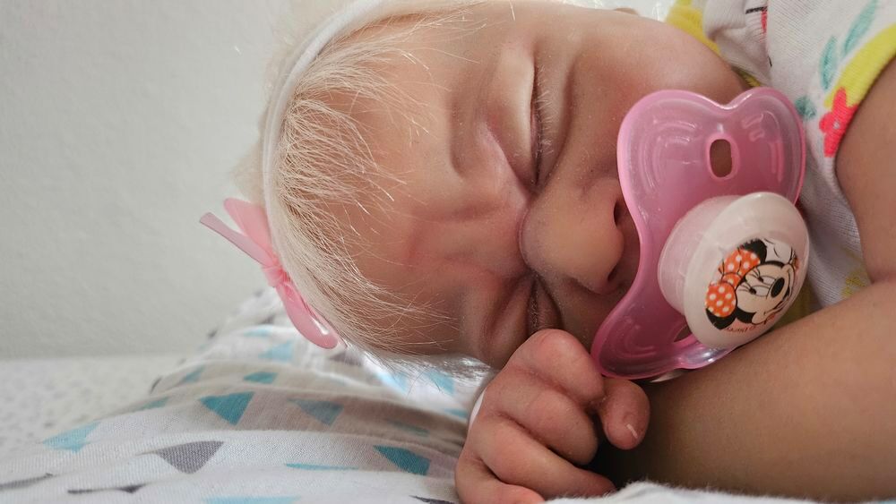 B&eacute;b&eacute; reborn Jeux / jouets