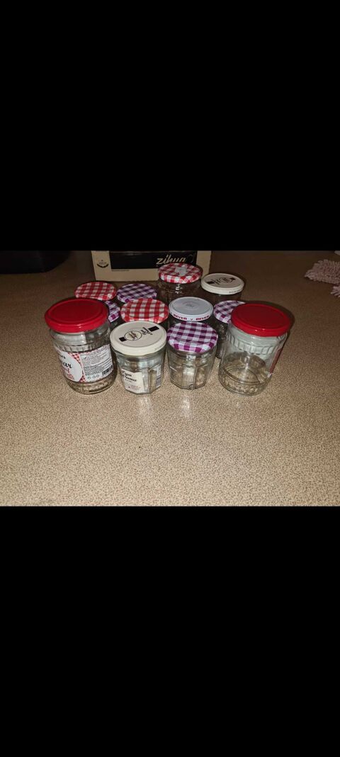 25pots/bocaux transparent+5miniatures 12 Besançon (25)