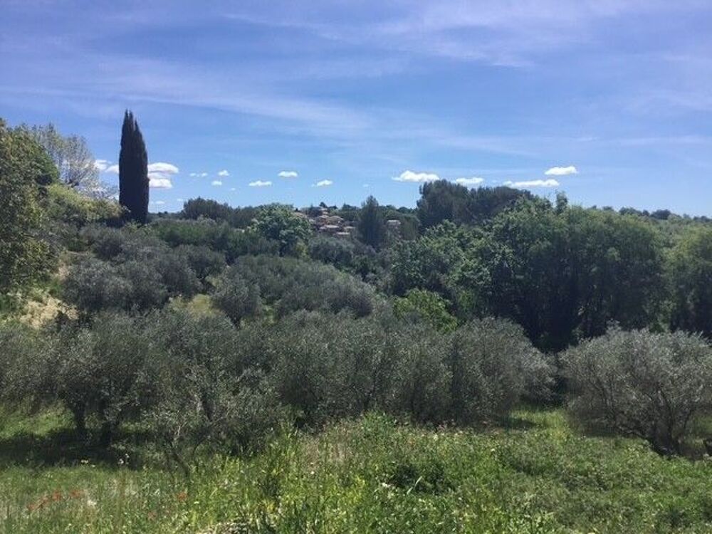 Vente Terrain Terrain viabilisé de 1230 m² à Valensole Valensole