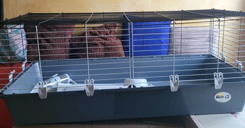 GRANDE CAGE RONGEUR 70 13400 Aubagne