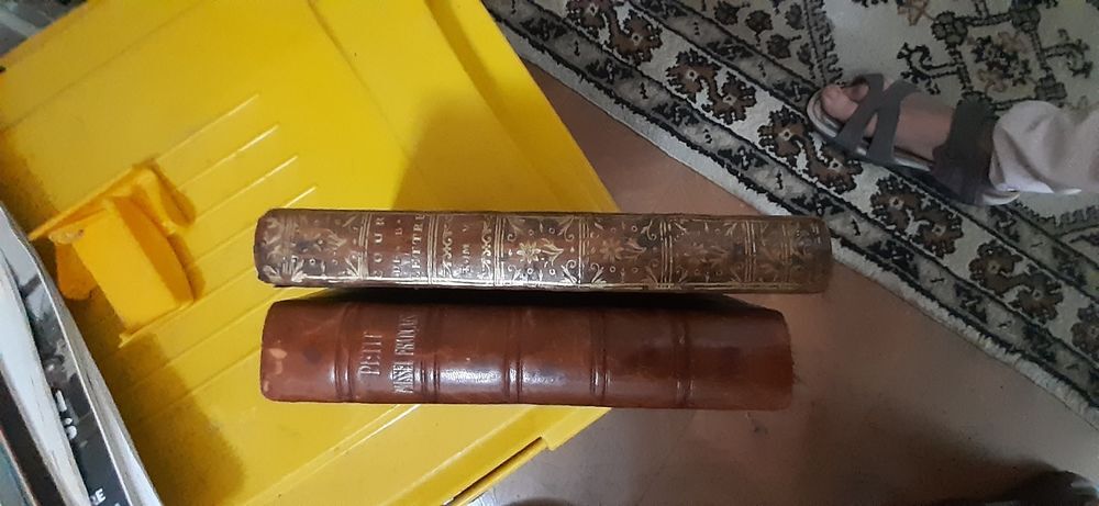 Livres anciens cuirs Livres et BD