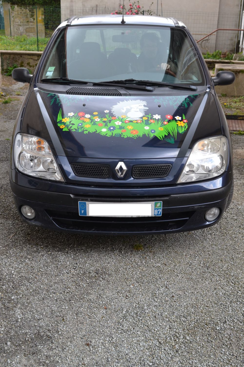 Renault scenic Sc&eacute;nic 1.9 DCI - 105 RXT