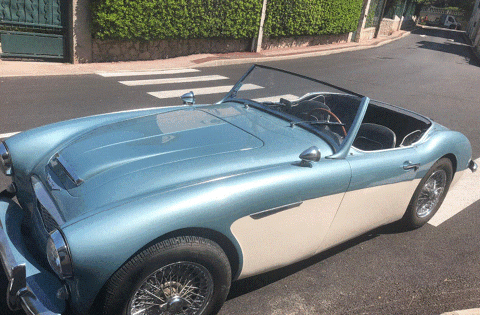 Austin Autres healey 2+2 1957 occasion Vallauris 06220
