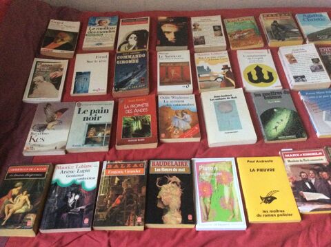 Livres différents intéressants 4 Bourg-en-Bresse (01)