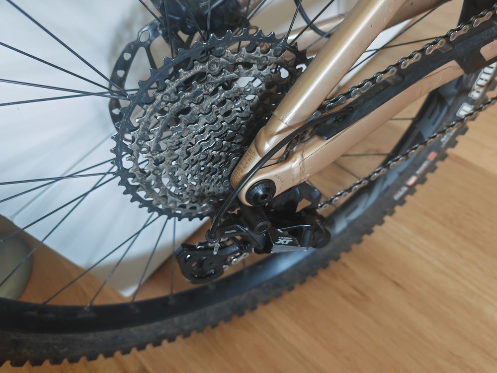 RISE H10 2023 Vélos