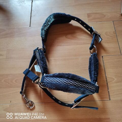 Licol DECATHLON  15 79310 Saint-pardoux