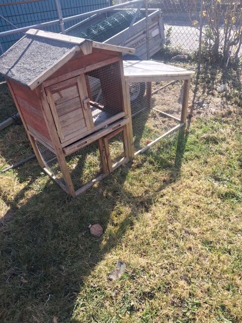 Cage  a poule 90 76410 Saint-aubin-l�s-elbeuf