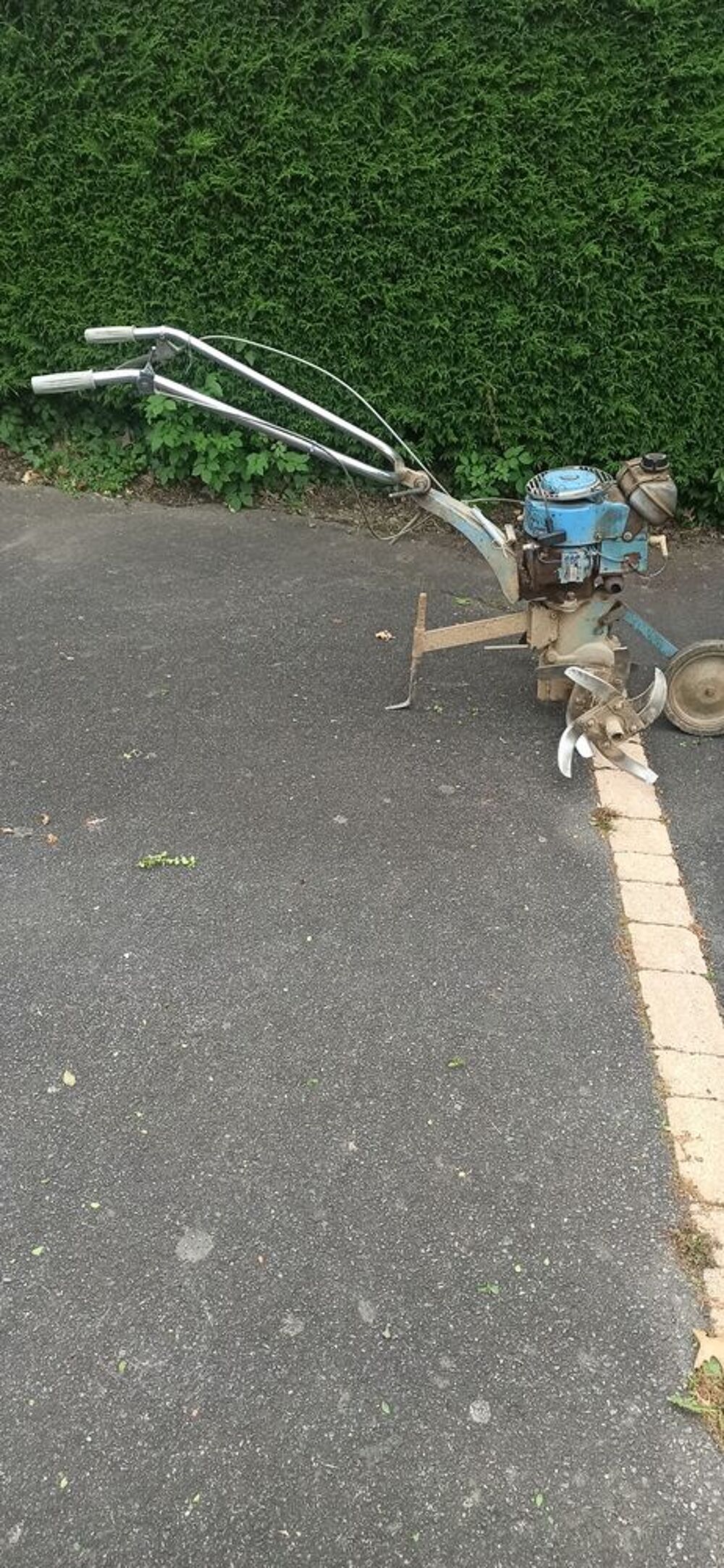 motobineuse Jardin