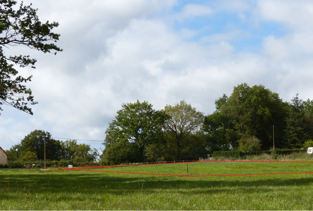 Vente Terrain terrain 2854m2 dont 1512 m2 constructibles Saulgé