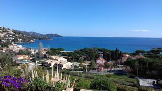 Location  Appartement 
