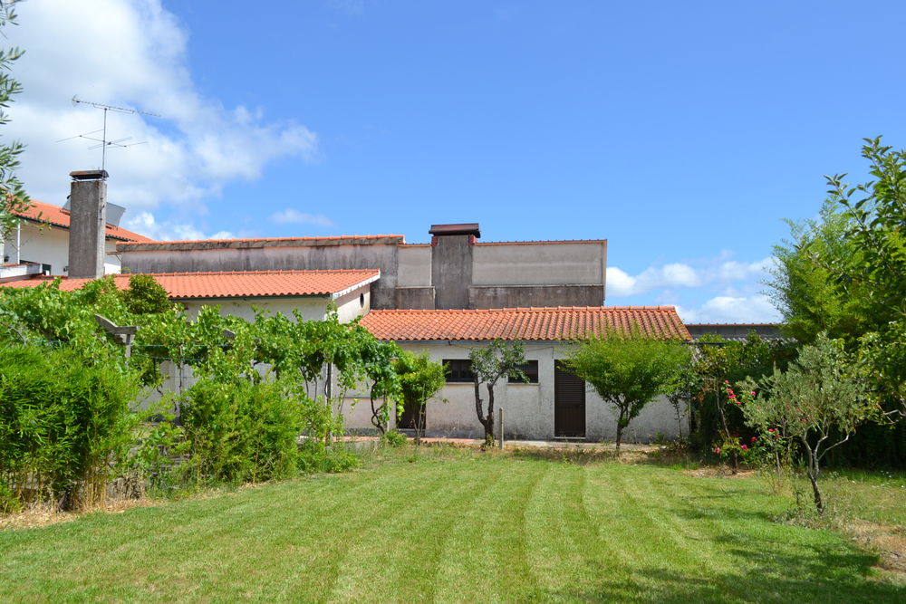 Vente Maison Portugal centre: T4 + T1 s/ propriété 4 500 m² Chão de couce, portugal (Portugal)