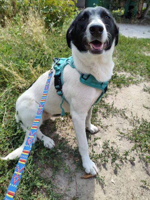 HANNAGH 0 75018 Paris