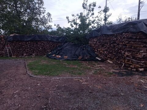 Bois de chauffage sec 
90 La Chapelle-Launay (44)