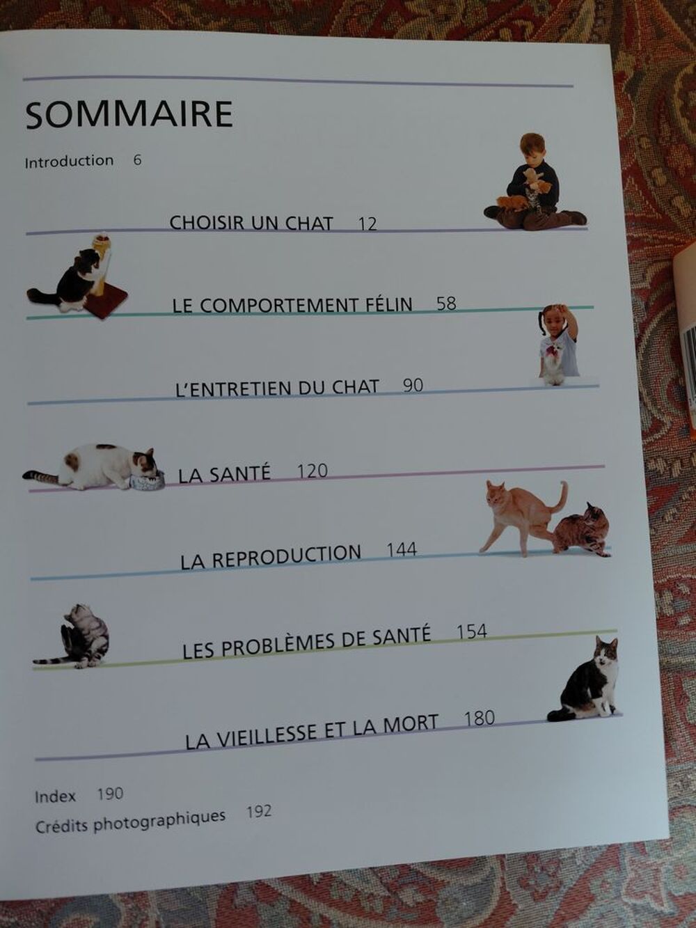 Beau livre Tout sur le chat (Caroline DAVIS) Livres et BD