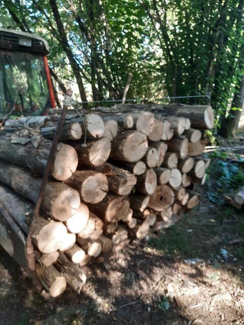 bois de chauffage 55 Iteuil (86)