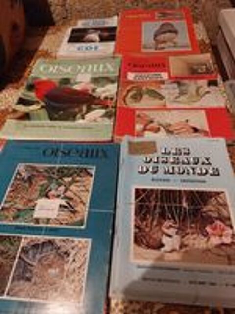   Revue sur les oiseaux 