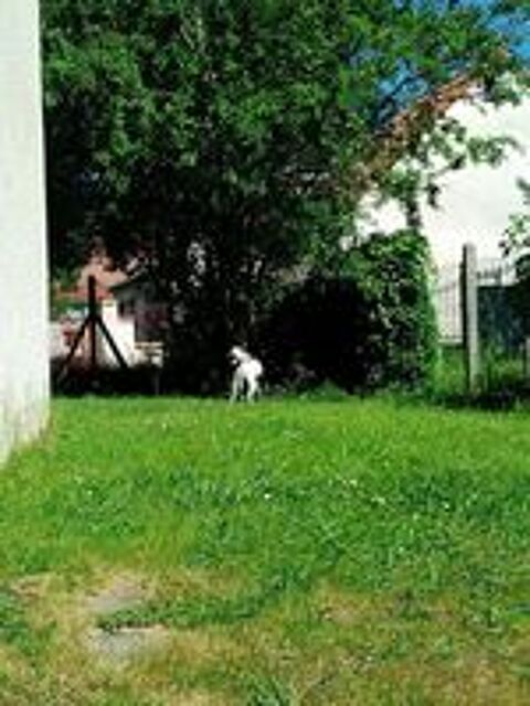   Garde d'animaux avec jardin.
2 promenades par jour
