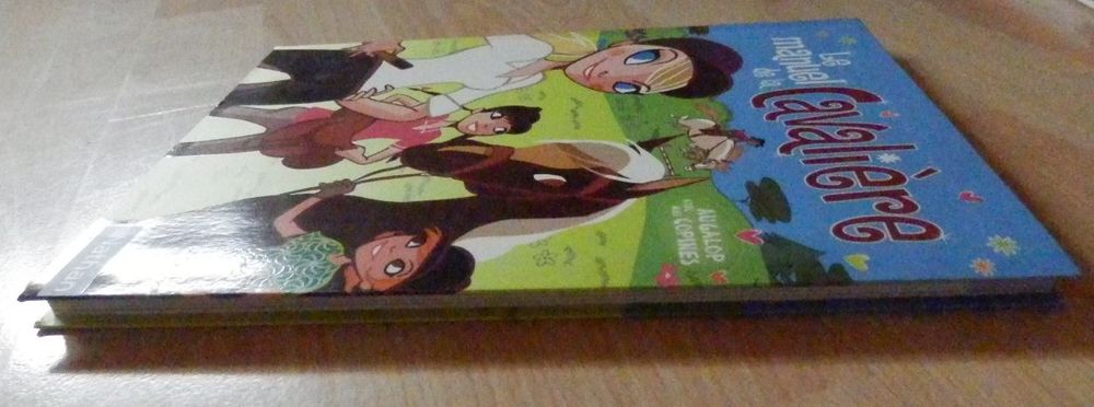 Livre : Le manuel de la cavali&egrave;re : NEUF Livres et BD