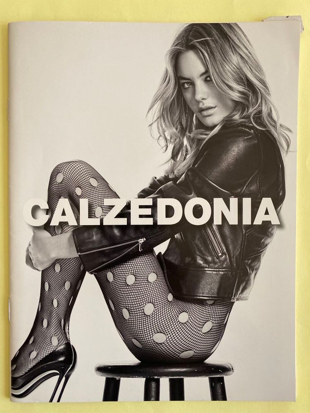 CALZEDONIA CAMILLE ROWE et ROBIN MARJOLEIN Catalogue 2016 Livres et BD