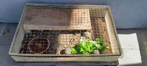 terrarium (tortue,reptile autres) 13500 Martigues