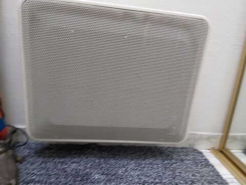 RADIATEUR 1000 W 30 Prenchies (59)