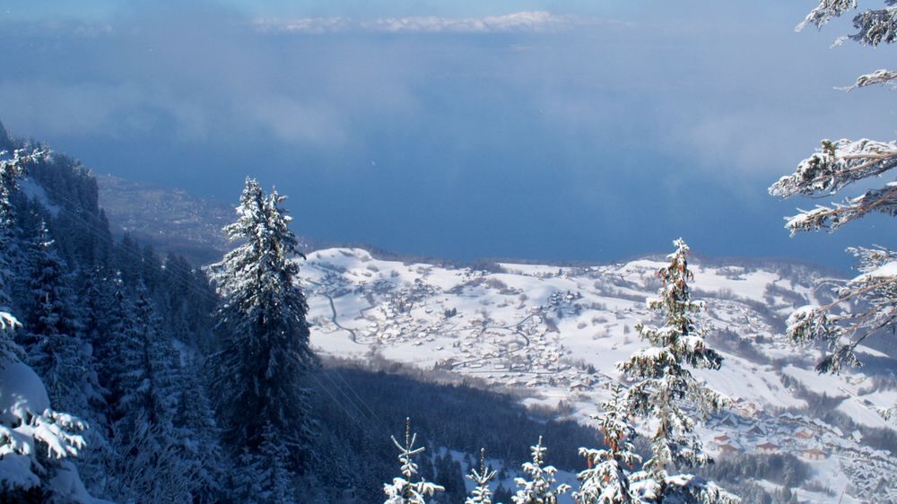   Spacieux T3 dans chalet entre lac et montagne Rhône-Alpes, Thollon-les-Mémises (74500)