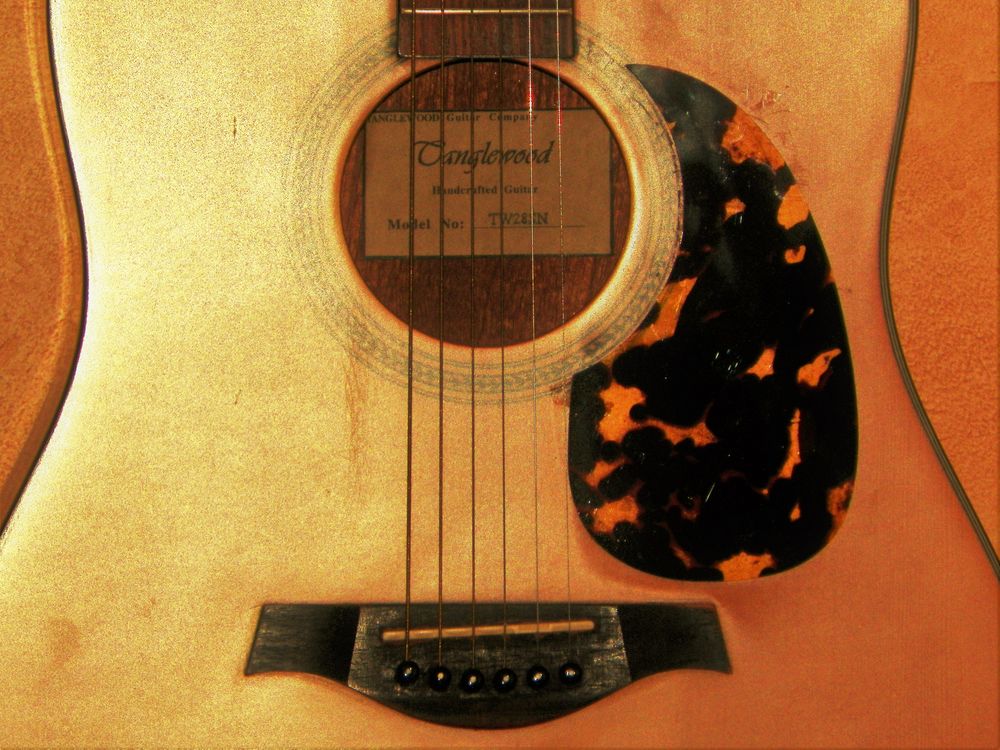  guitare TANGLEWOOD + ETUI Instruments de musique
