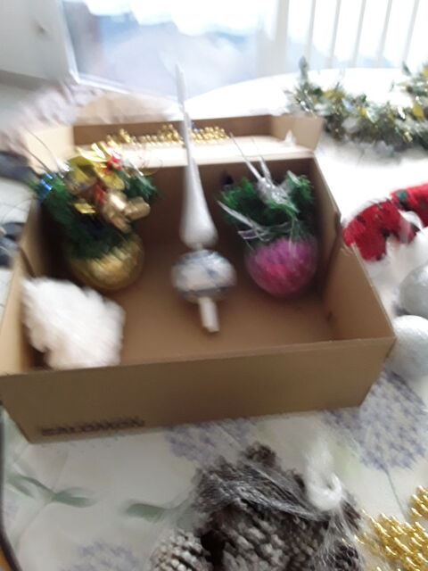 déco de noël 18 Dourges (62)