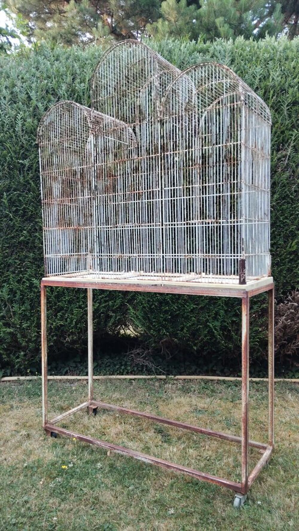   Cage à oiseaux en 3 arches sur support  