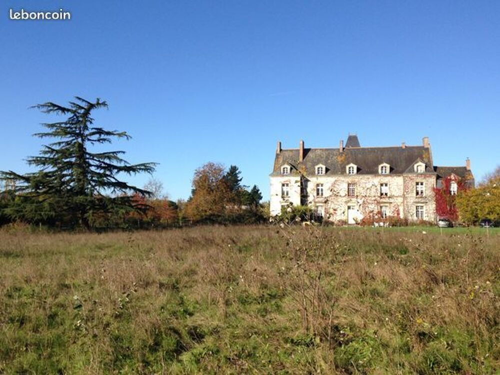 Vente Propri�t�/Ch�teau Nantes - Ch�teau avec 5 chambres d'h�tes en activit�, rare ! Bouaye