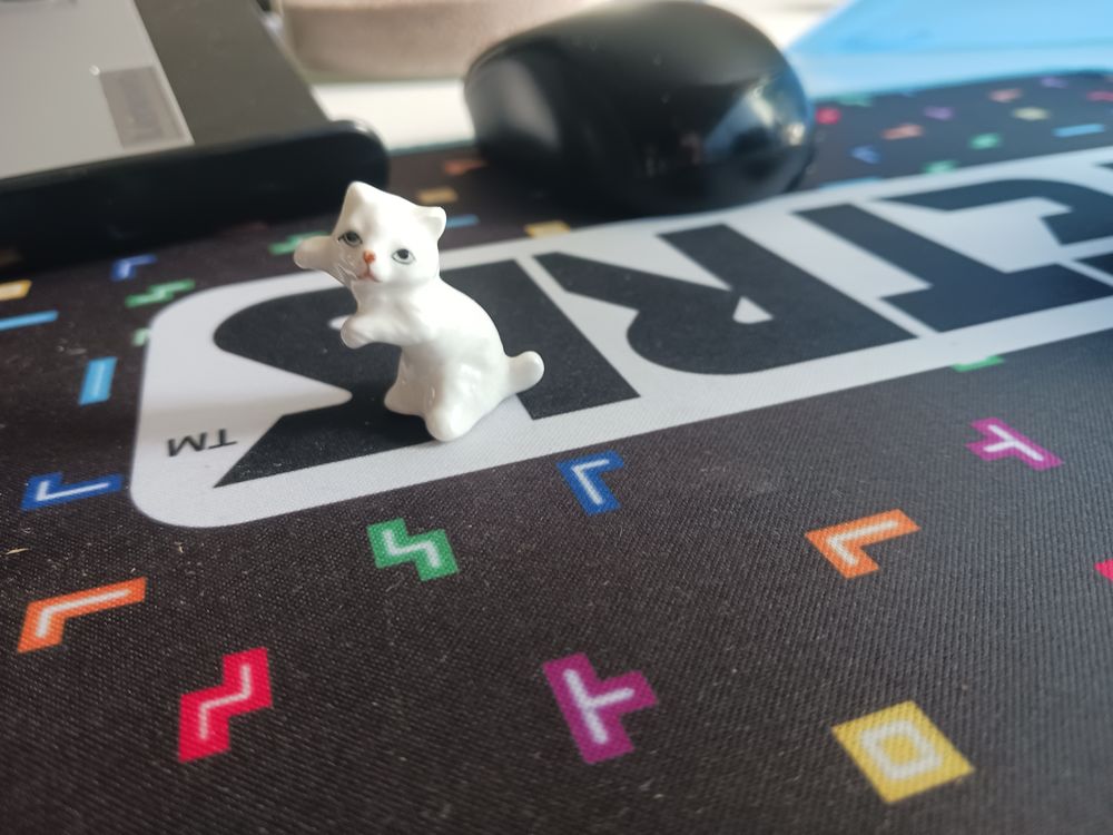 petit chat Décoration