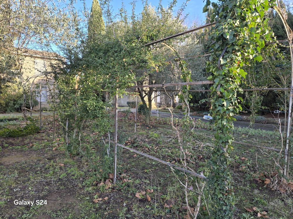 tonnelle en fer forg&eacute; Jardin