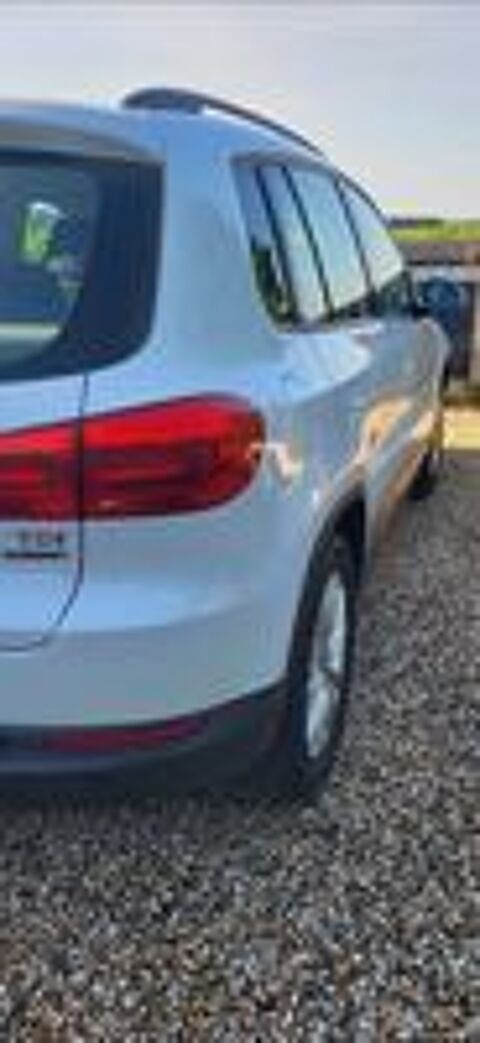 Tiguan 2.0 TDI 110 FAP BlueMotion Technology 2014 occasion 33350 Doulezon