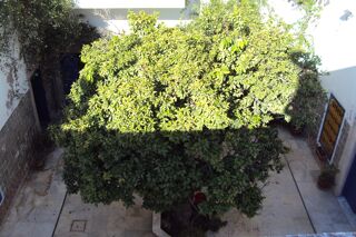  Maison � vendre 10 pi�ces 700 m� Tunis, tunisie