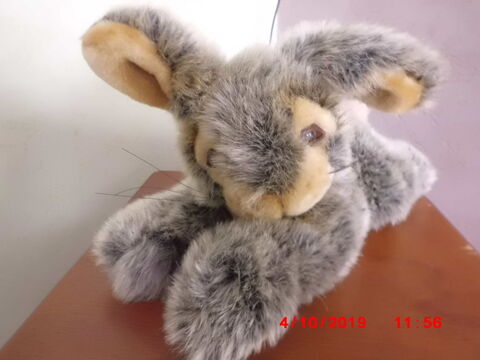 LAPIN GRIS ET BEIGE FOREST DISTRIBUTION 15 Oignies (62)