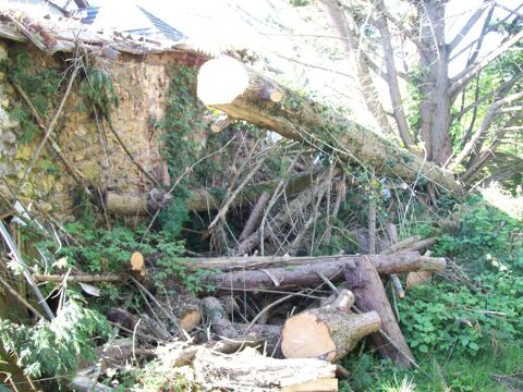 BOIS DE SAPIN POUR CHAUFFAGE 50 Boueilh-Boueilho-Lasque (64)