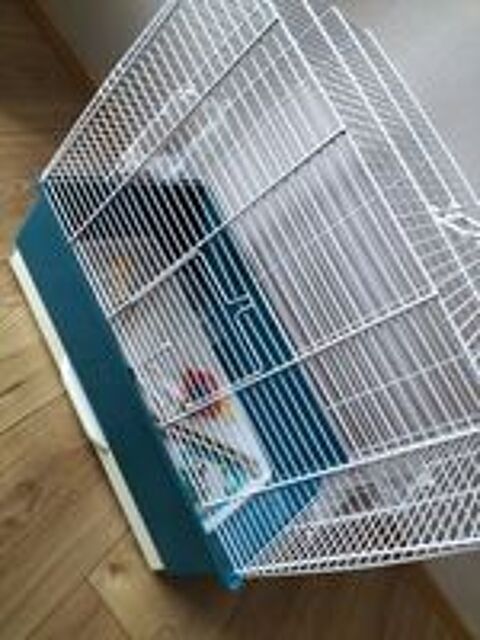   Cage oiseaux avec accessoires 
