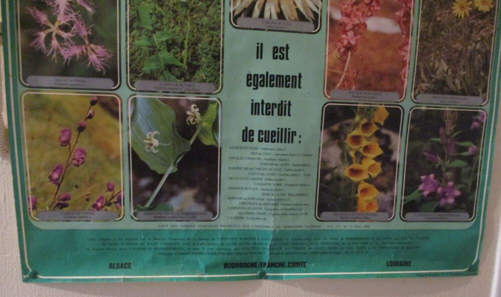 affiche sauvons la flore vosgienne Décoration