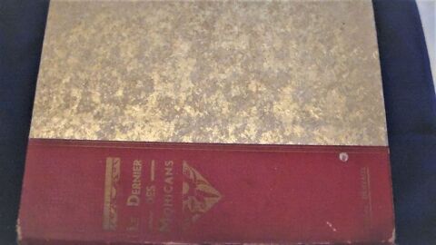 Livre Le Dernier des Mohicans J F Cooper 34 Tours (37)