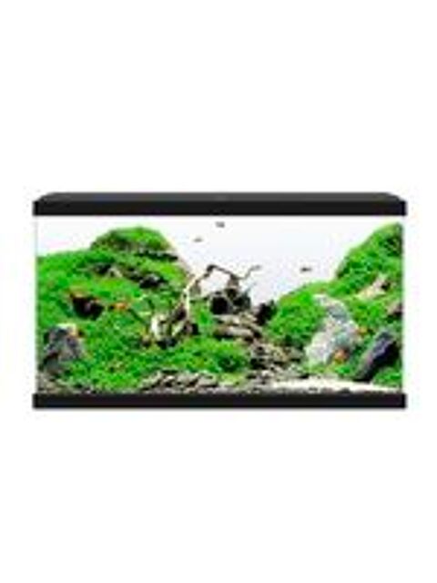   Aquarium 60L complet ? 50 € 