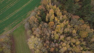  Terrain  vendre 8330 m 