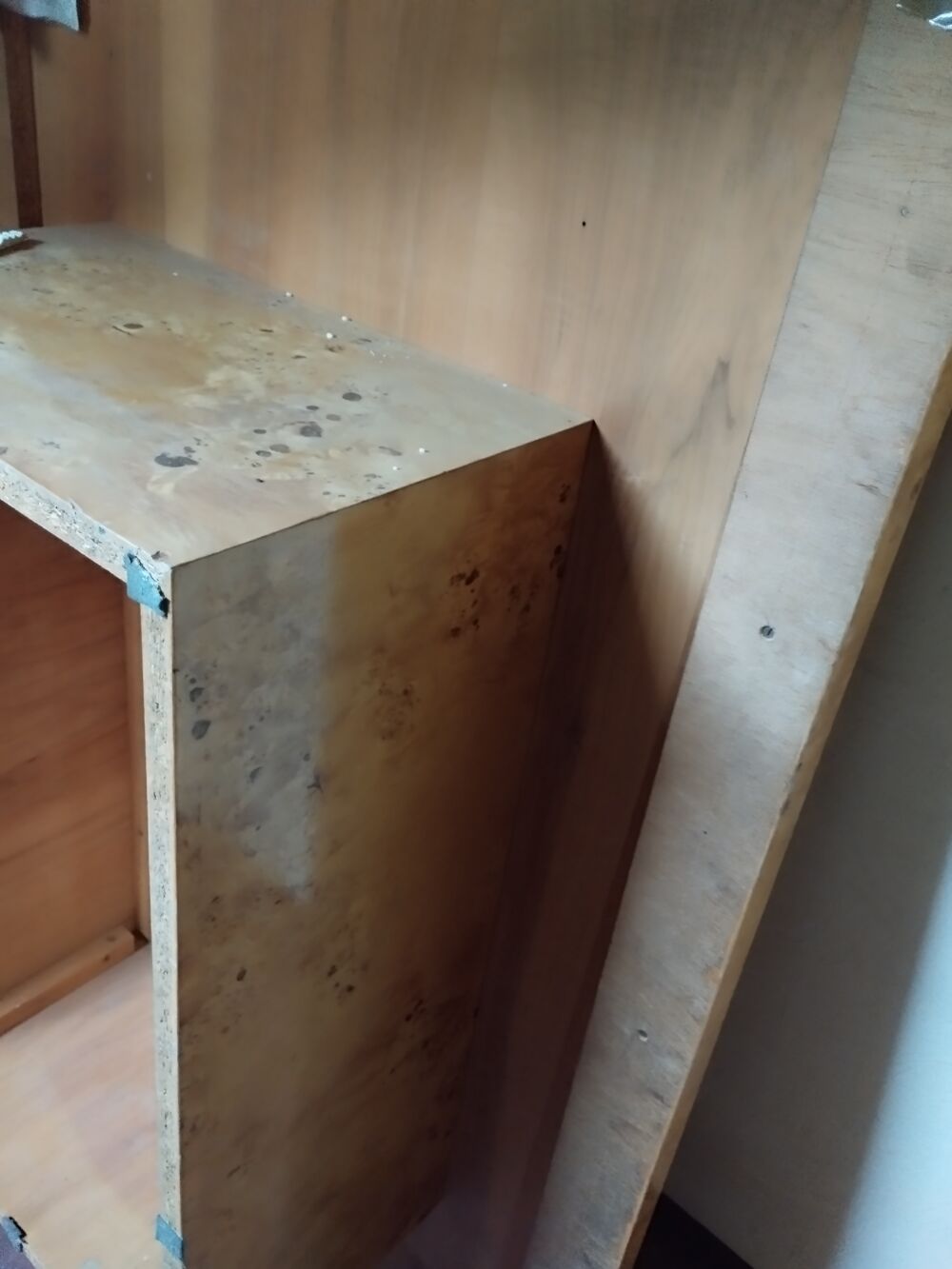 Table basse en loupe Meubles