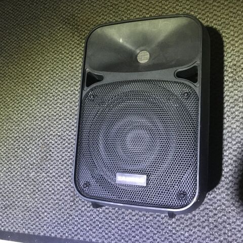 enceinte AURO D 208 Samson 170 Saint-Jean-de-Braye (45)