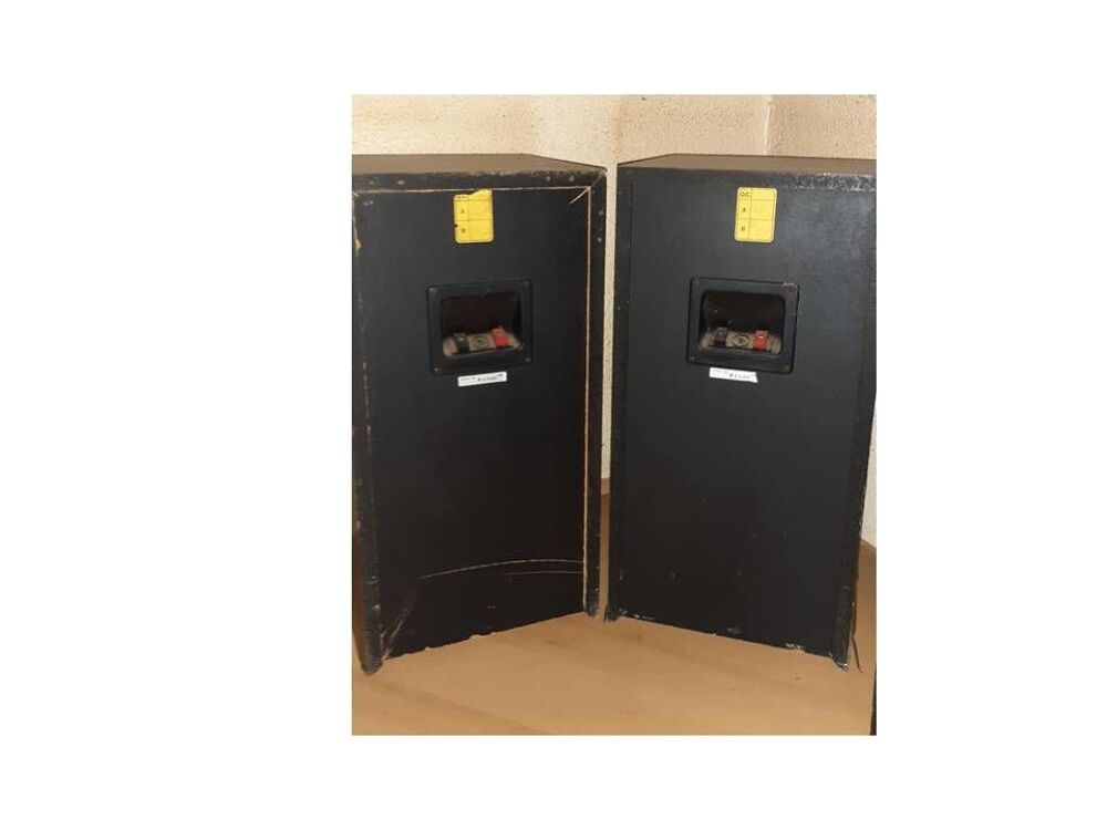 PAIRE D'ENCEINTES ROTEL RL-350 Audio et hifi
