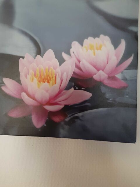 tableau decoratifes 4 20 Lyon 7 (69)