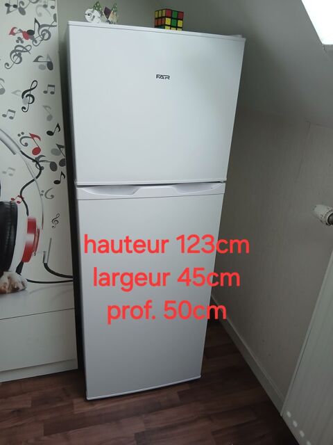Frigo-cong�lateur 200 Dijon (21)