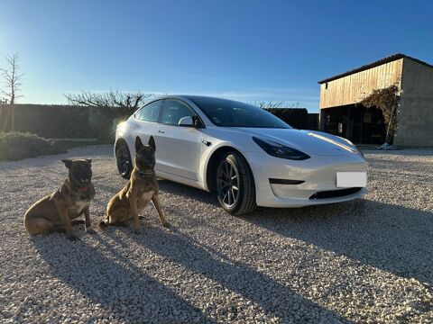 Tesla Model 3 MODEL 3 Autonomie Standard Plus RWD 2022 occasion Estézargues 30390