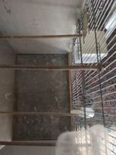   CAGE pour oiseaux  